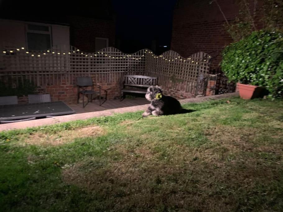 Award Winning Pet Friendly Paddock Cottage Whitby Extérieur photo