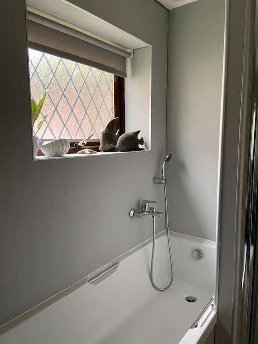 Award Winning Pet Friendly Paddock Cottage Whitby Extérieur photo